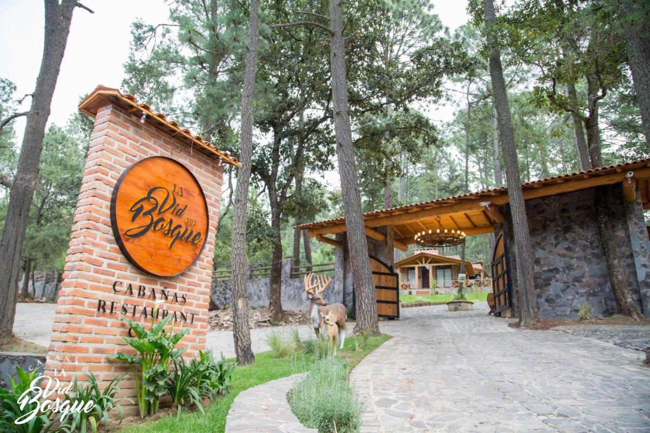Hotel Cabanas La Vid Del Bosque Tapalpa Zewnętrze zdjęcie