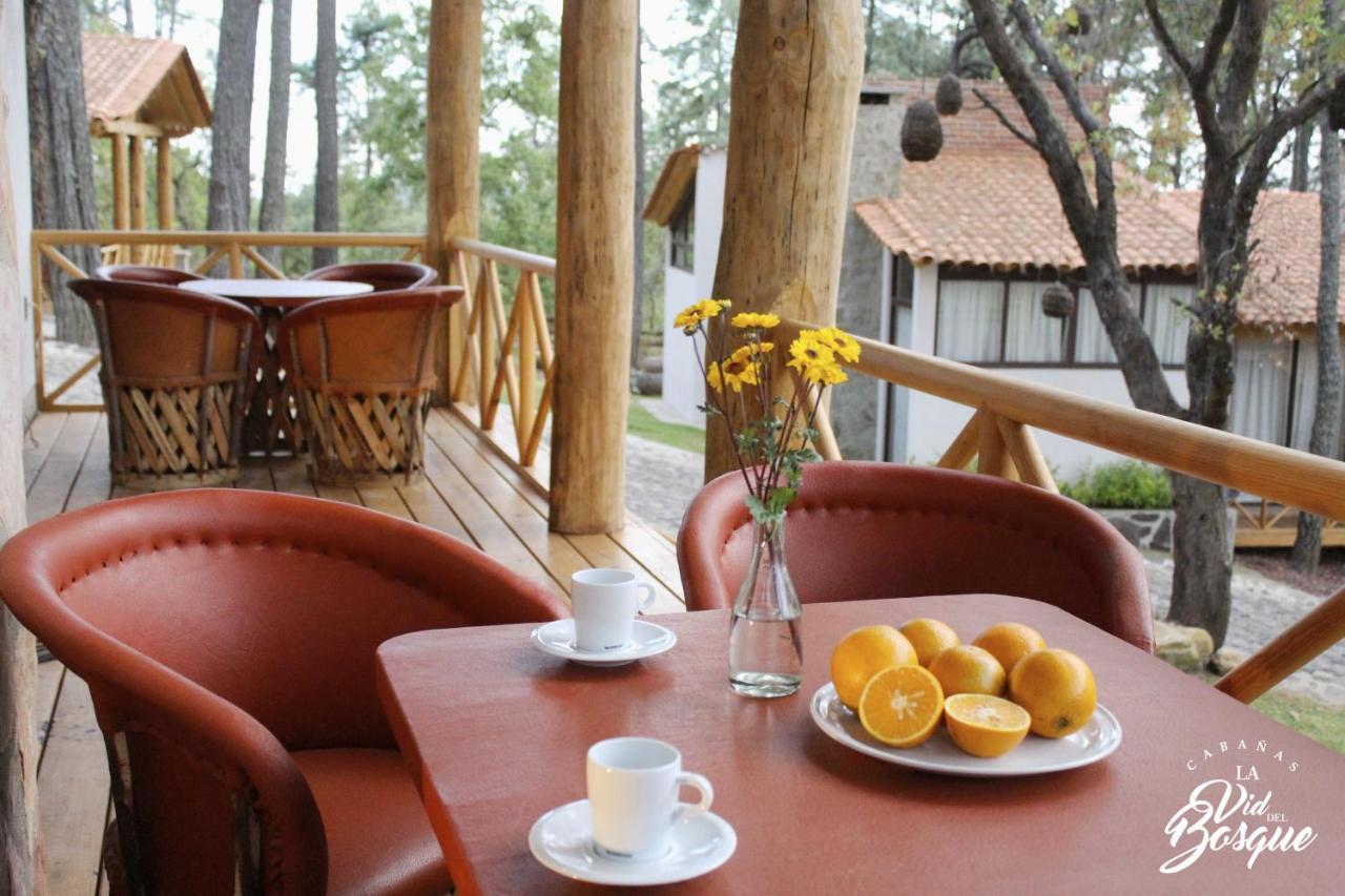 Hotel Cabanas La Vid Del Bosque Tapalpa Zewnętrze zdjęcie