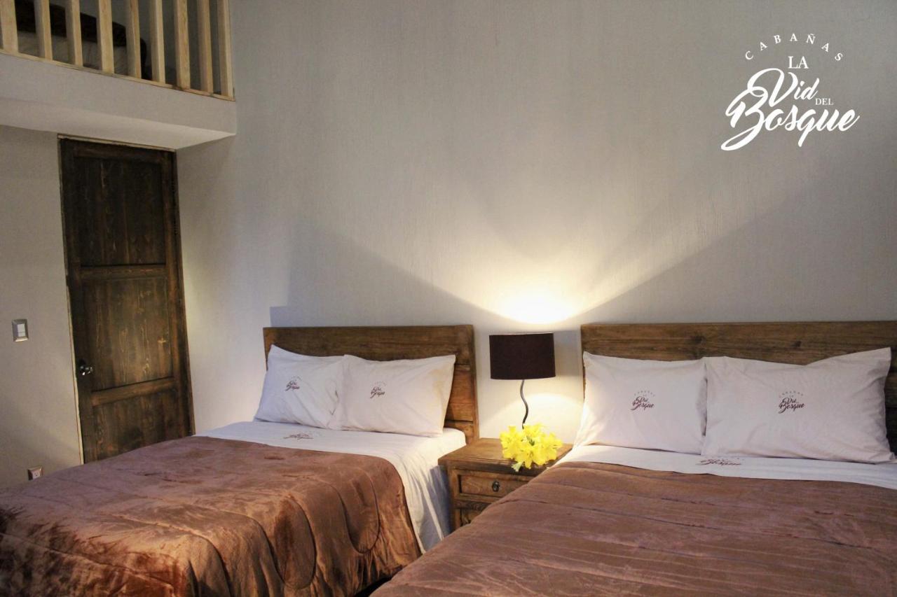 Hotel Cabanas La Vid Del Bosque Tapalpa Zewnętrze zdjęcie