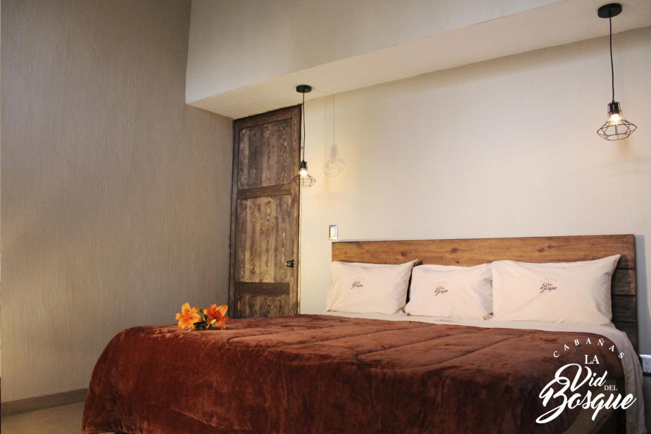 Hotel Cabanas La Vid Del Bosque Tapalpa Zewnętrze zdjęcie