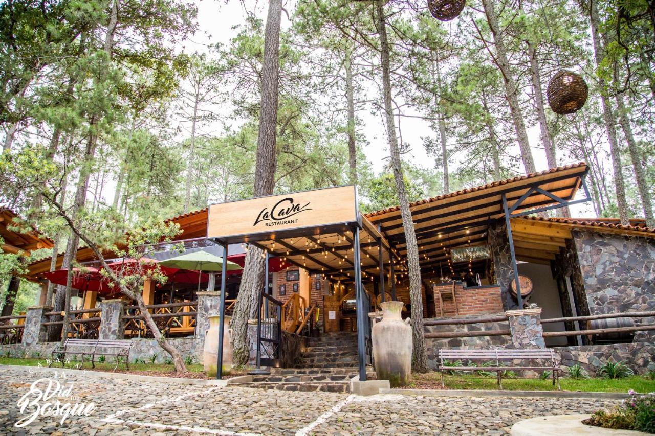 Hotel Cabanas La Vid Del Bosque Tapalpa Zewnętrze zdjęcie