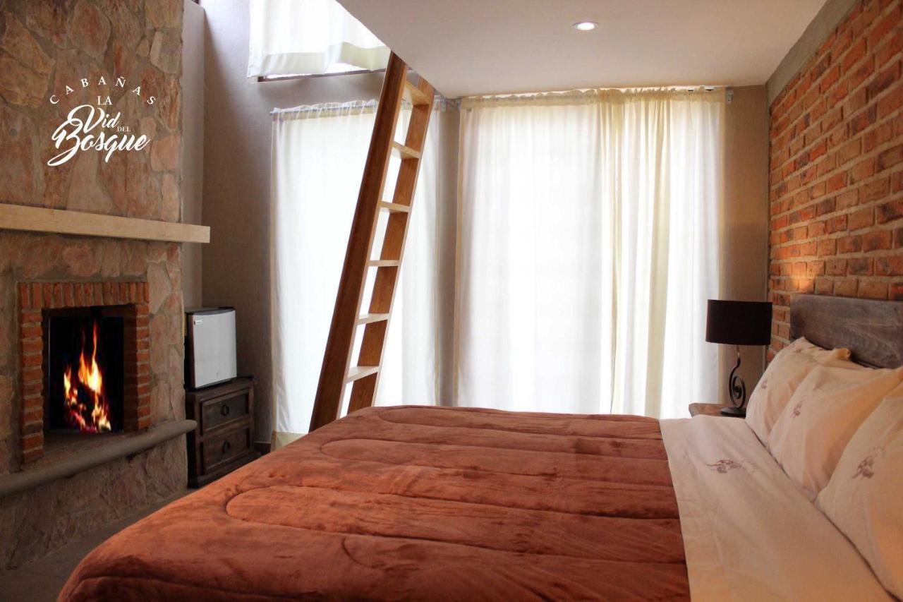 Hotel Cabanas La Vid Del Bosque Tapalpa Zewnętrze zdjęcie