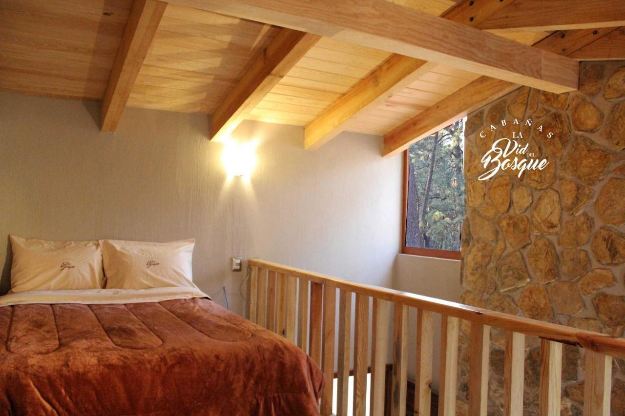 Hotel Cabanas La Vid Del Bosque Tapalpa Zewnętrze zdjęcie