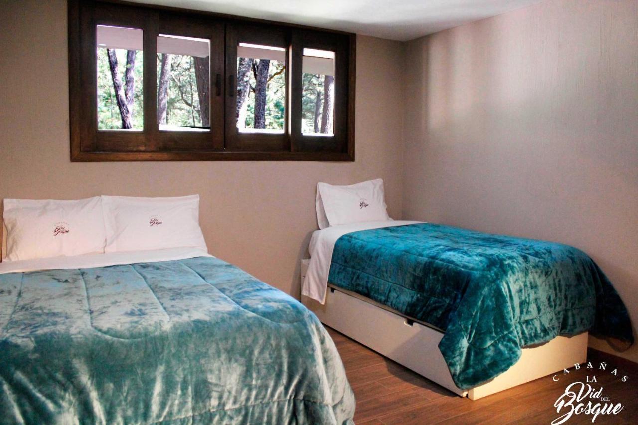 Hotel Cabanas La Vid Del Bosque Tapalpa Zewnętrze zdjęcie
