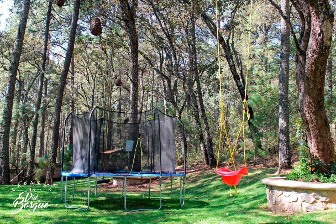 Hotel Cabanas La Vid Del Bosque Tapalpa Zewnętrze zdjęcie