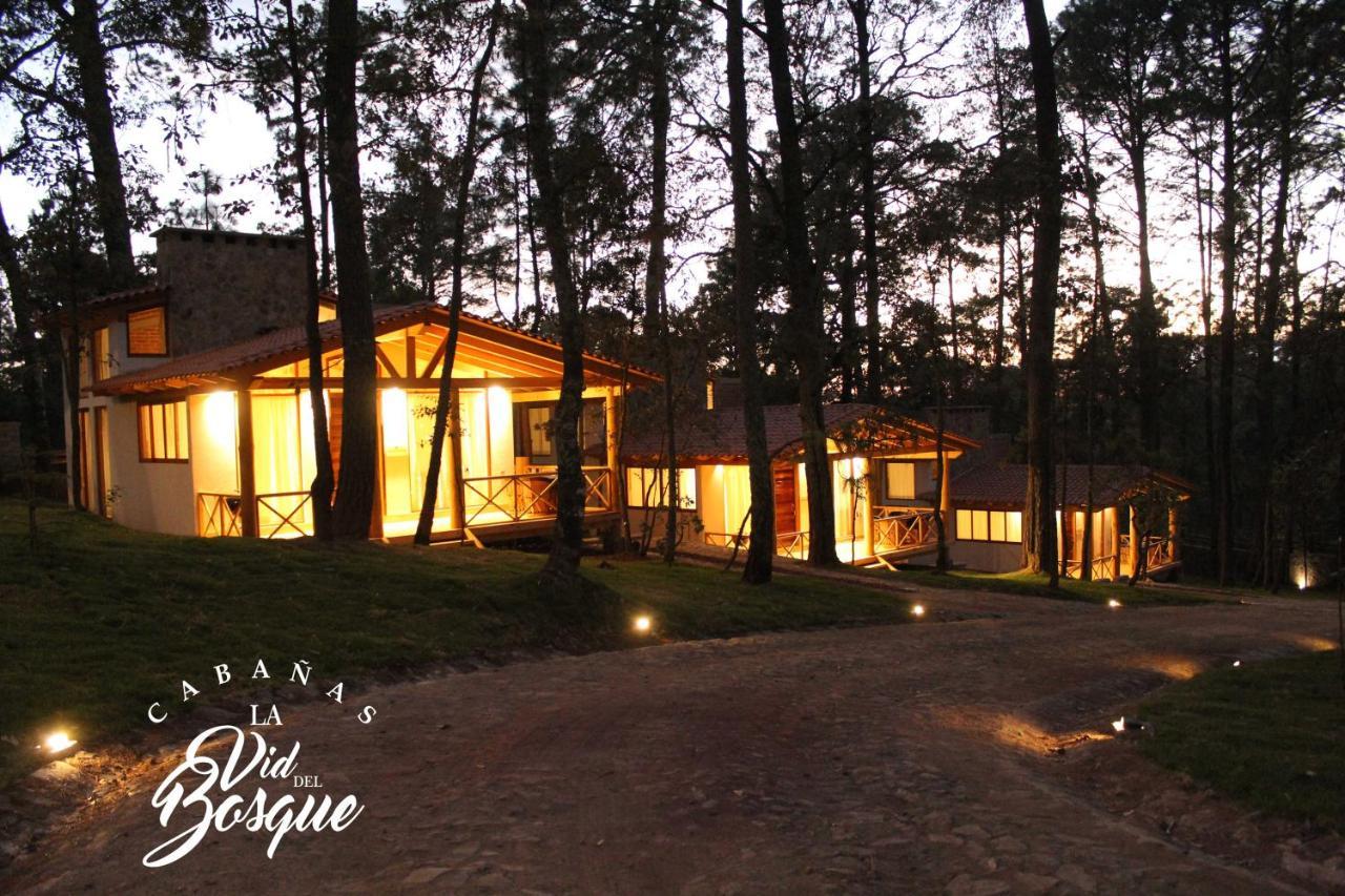 Hotel Cabanas La Vid Del Bosque Tapalpa Zewnętrze zdjęcie